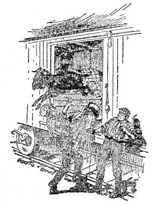 img9.jpg