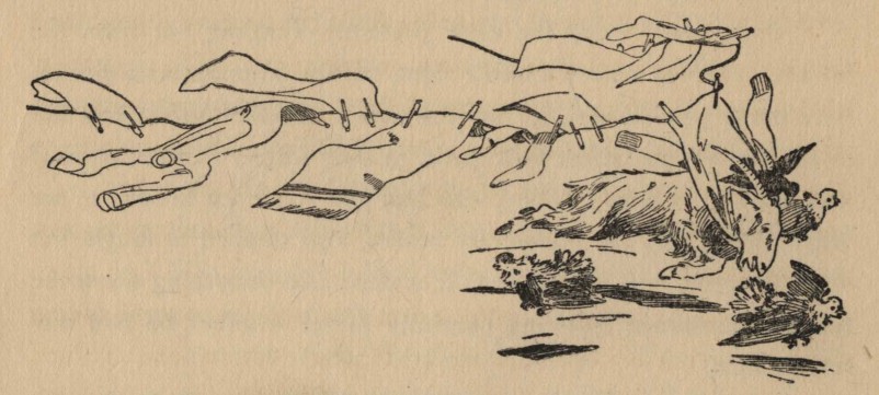 img35.jpg
