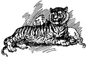 img16.jpg