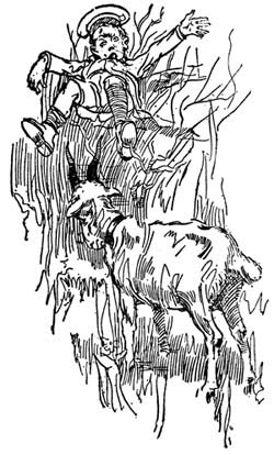 img2.jpg