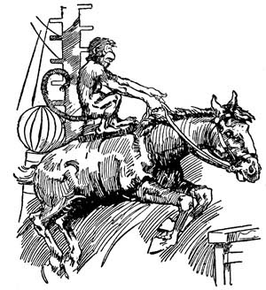 img22.jpg