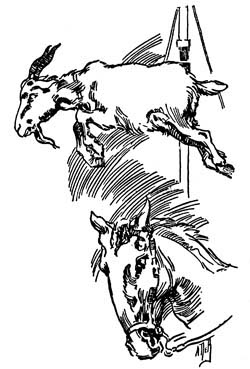 img23.jpg