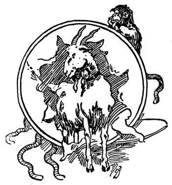 img25.jpg