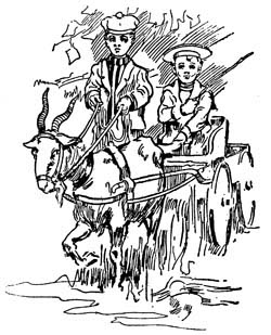 img3.jpg