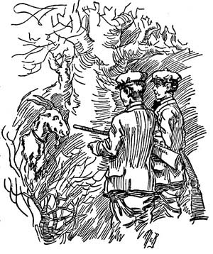 img34.jpg