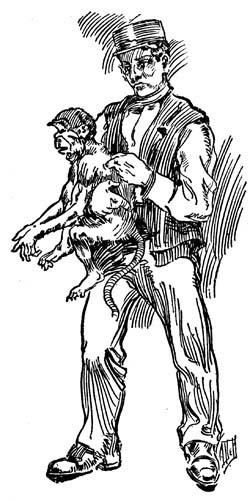 img35.jpg