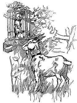 img4.jpg