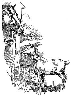 img5.jpg