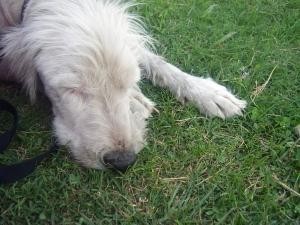 img3.jpg