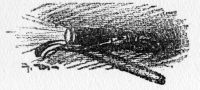 img10.jpg