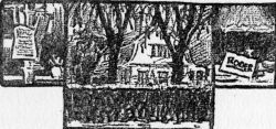 img11.jpg