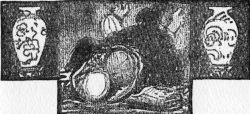 img14.jpg