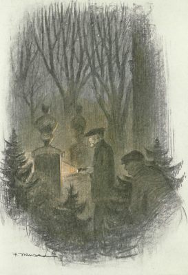 img15.jpg