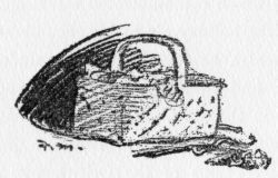 img16.jpg