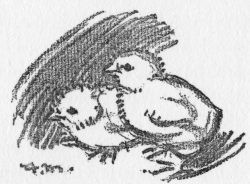 img18.jpg