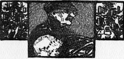img4.jpg