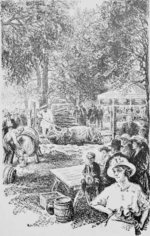 img16.jpg