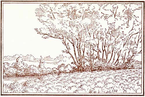 img7.jpg