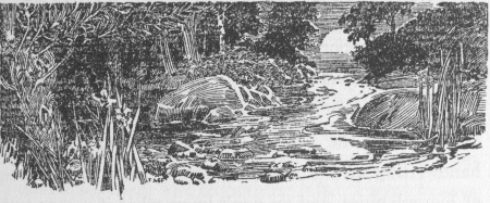 img2.jpg