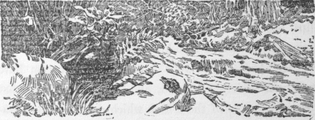 img7.jpg
