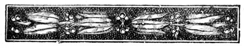 img4.jpg