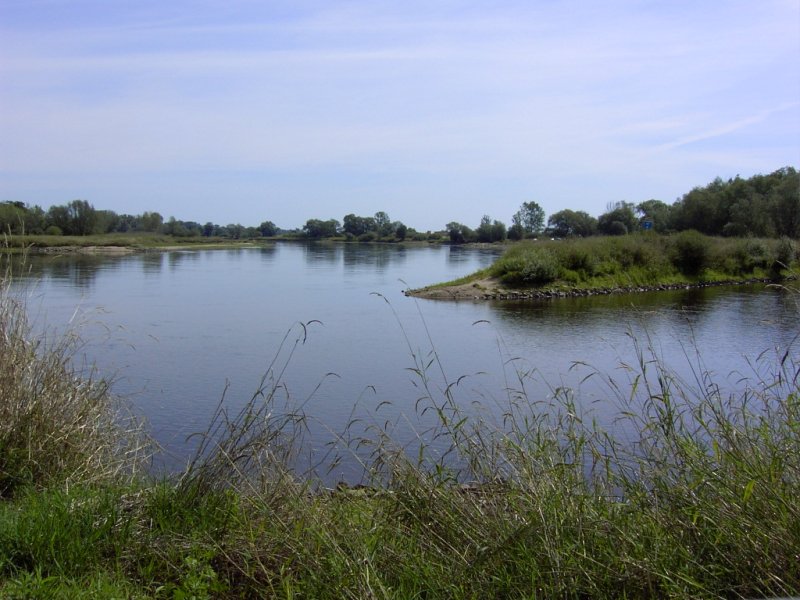 img25.jpg
