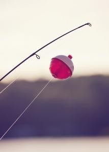 img13.jpg
