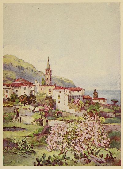 img4.jpg