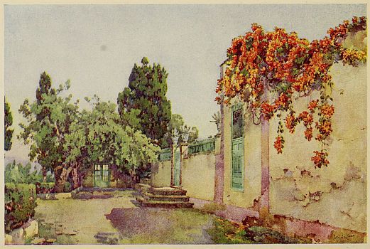 img5.jpg