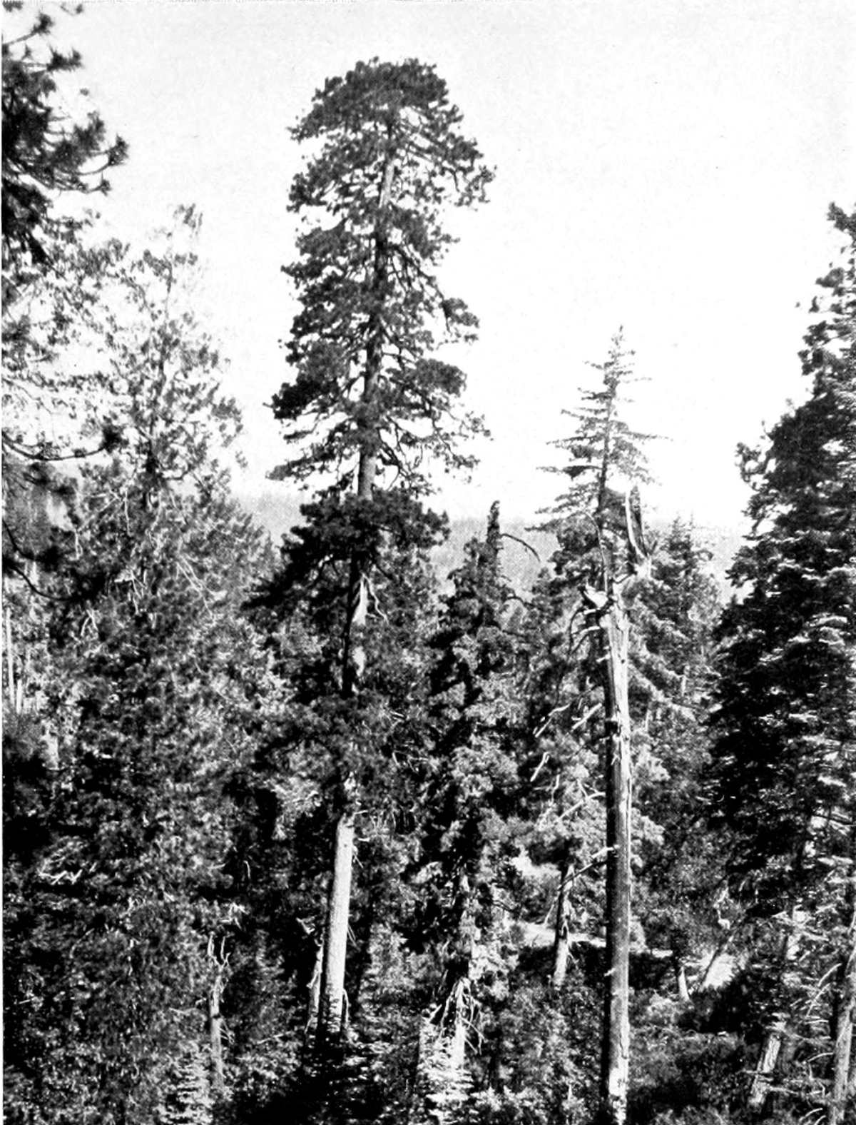 img10.jpg