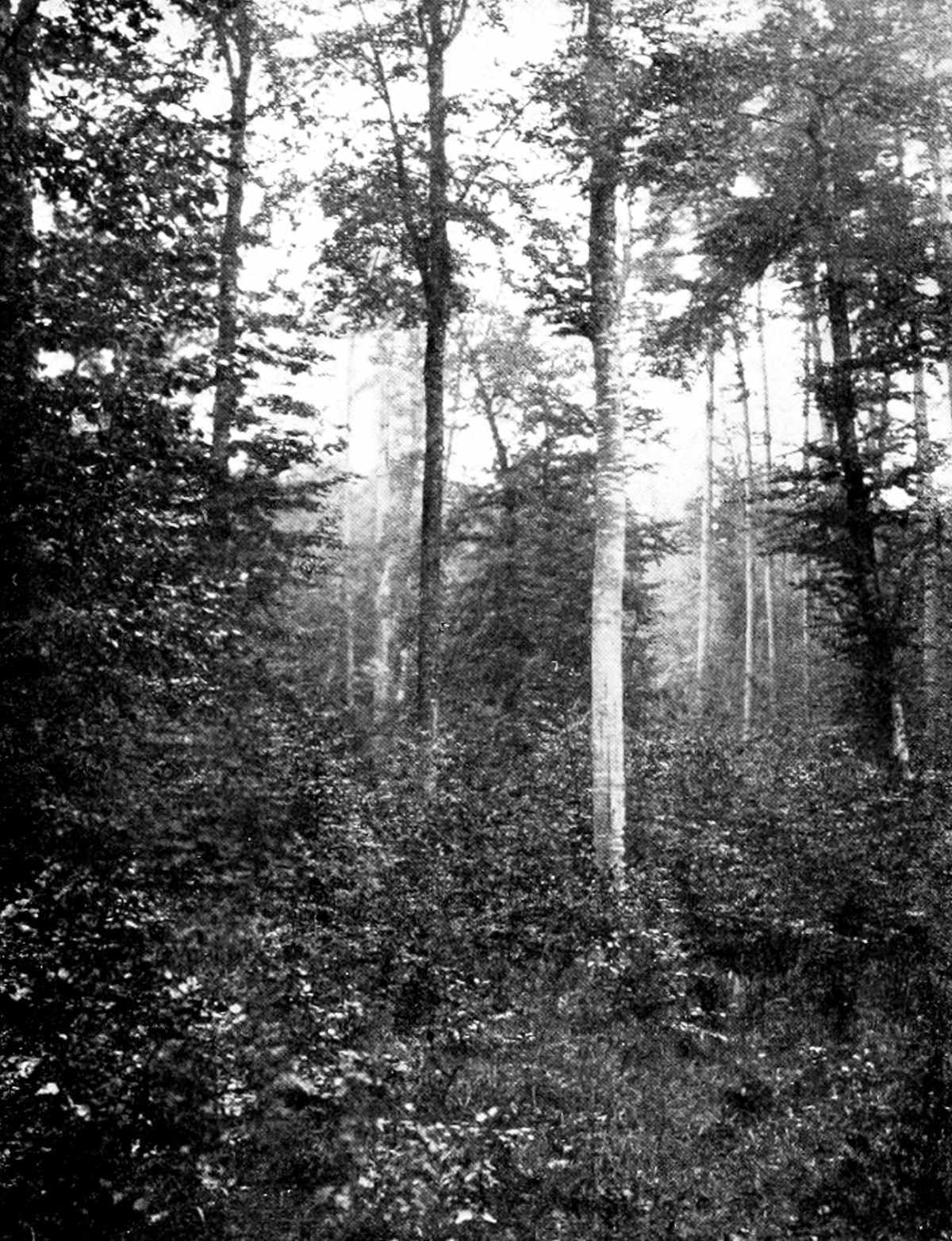 img25.jpg