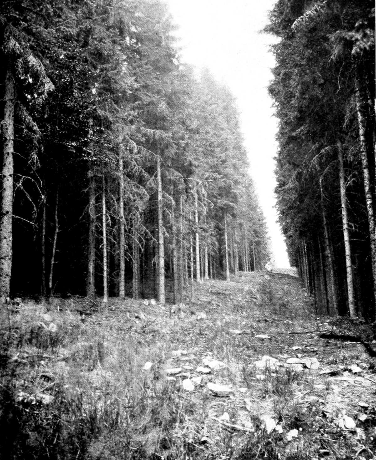 img26.jpg
