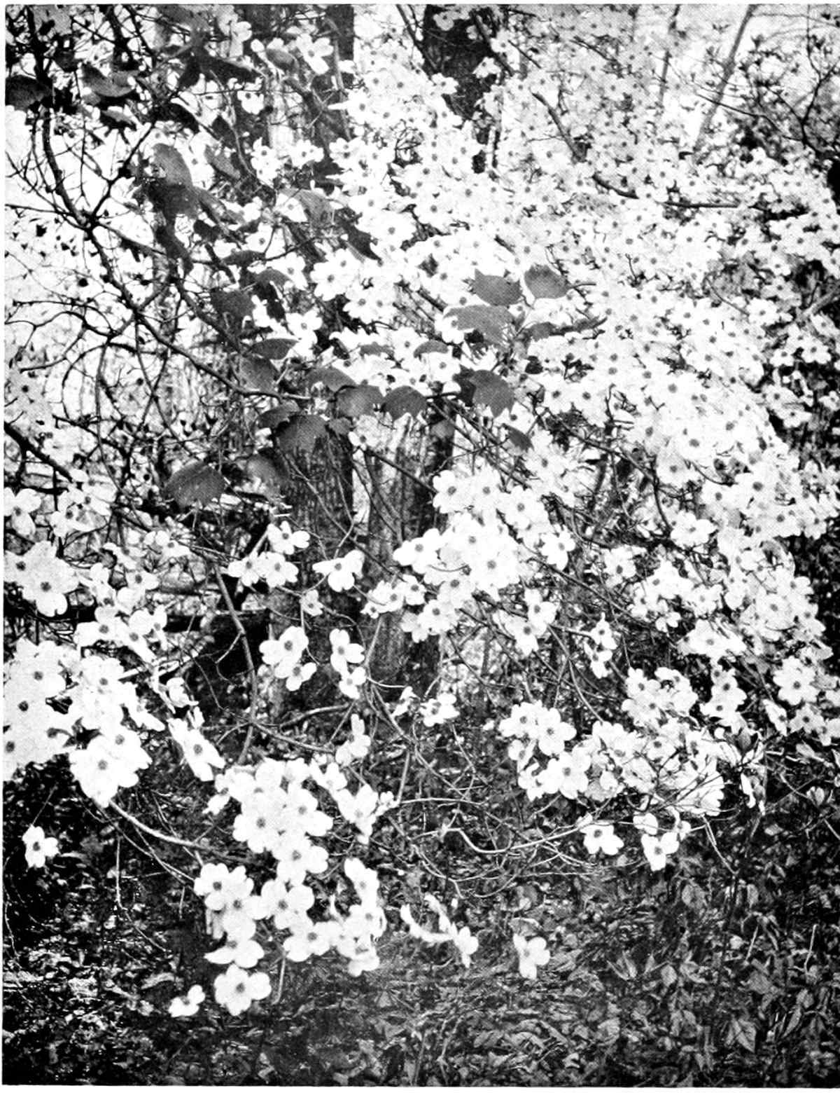 img5.jpg