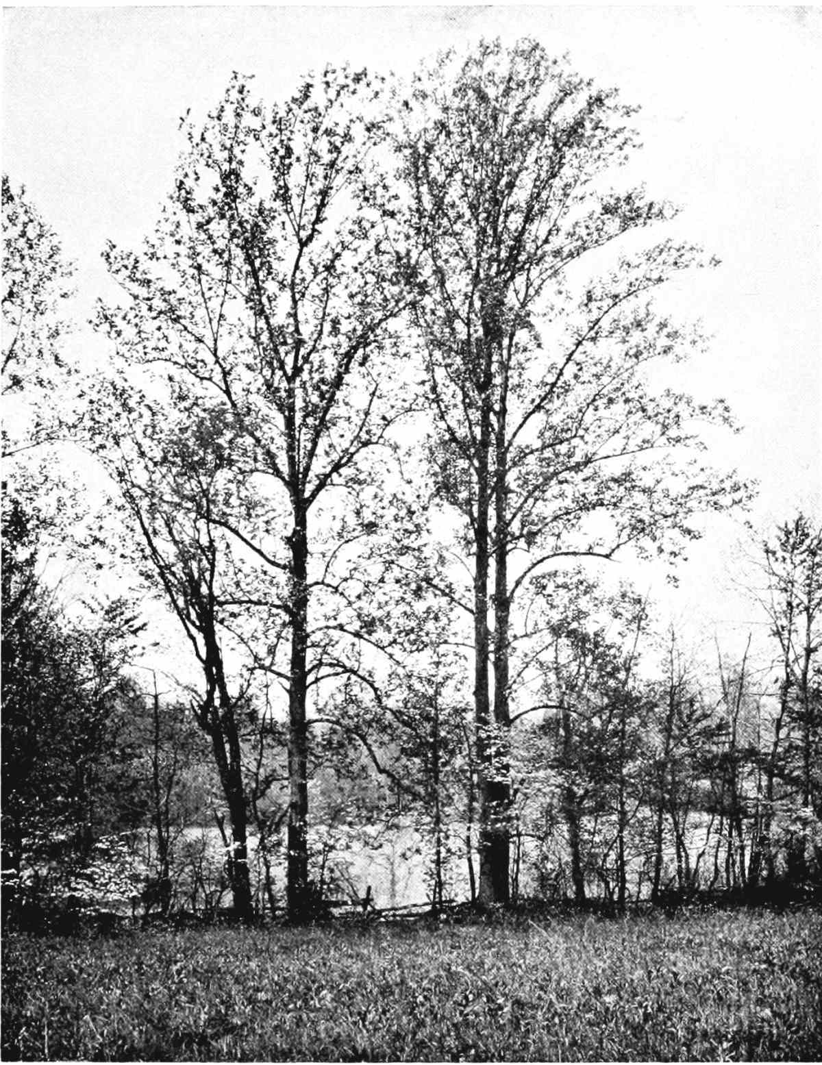 img6.jpg