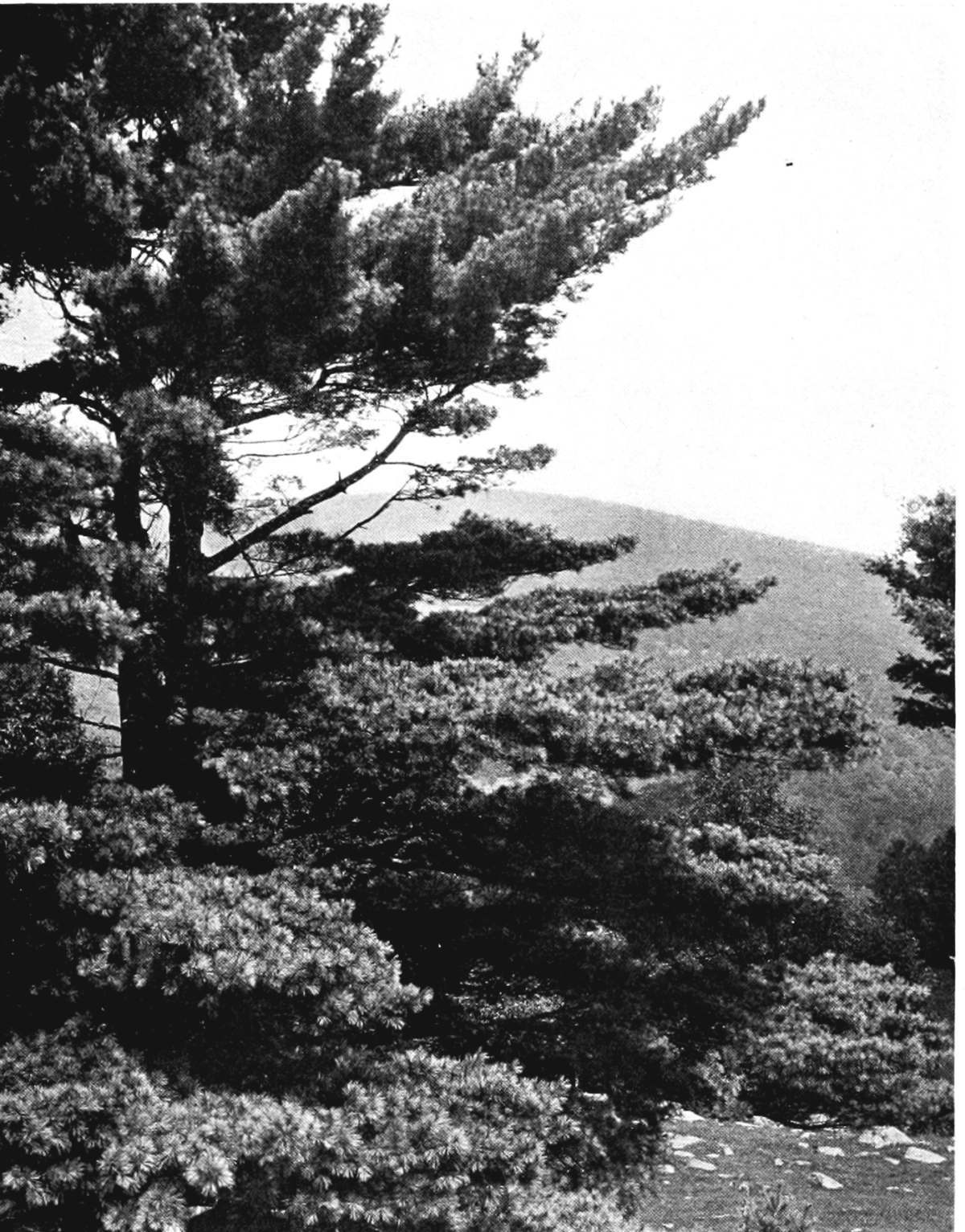 img7.jpg