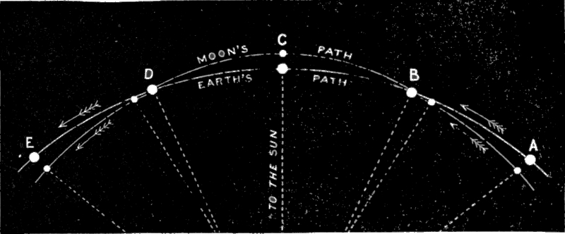 img3.jpg