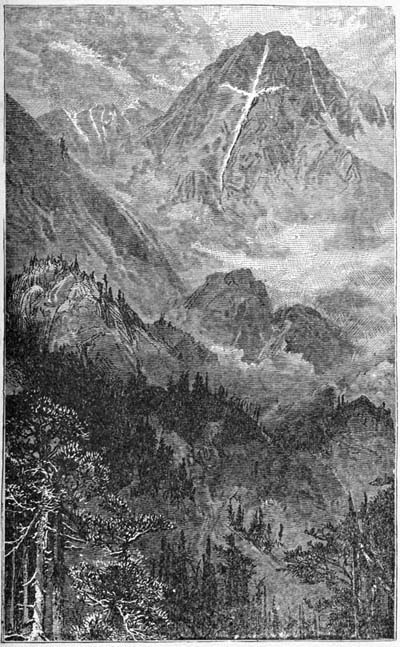 img9.jpg
