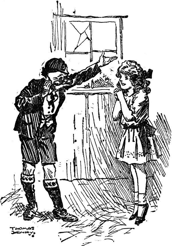 img17.jpg