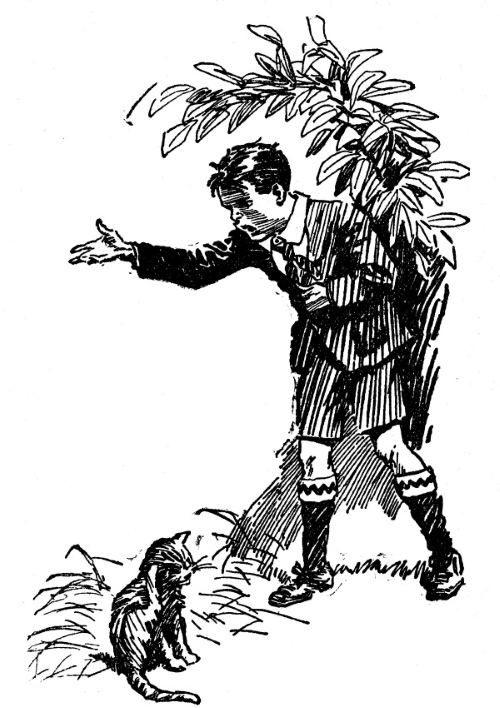 img2.jpg