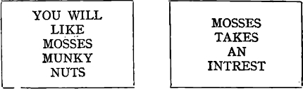 img25.jpg