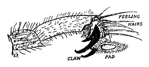 img14.jpg