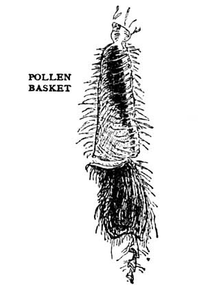 img18.jpg
