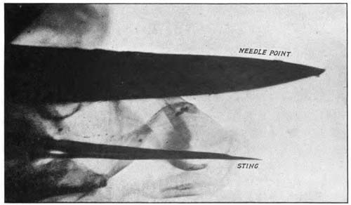 img20.jpg