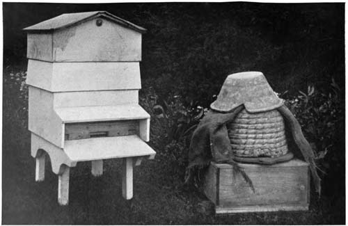 img26.jpg