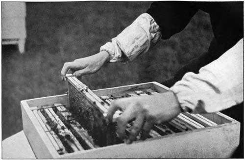 img27.jpg
