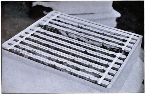 img28.jpg