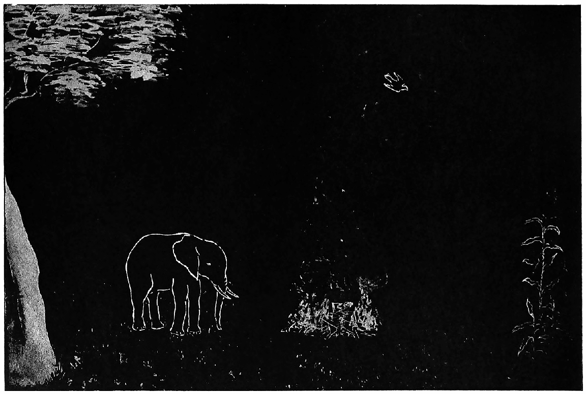 img16.png