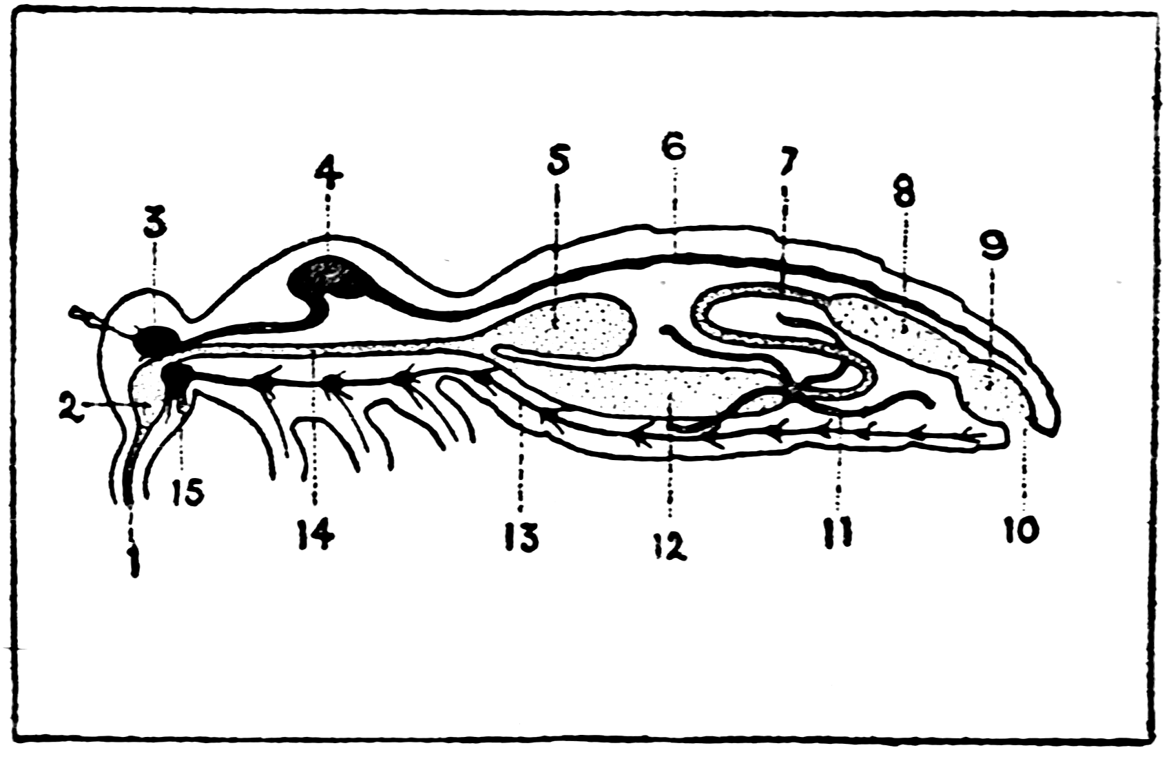 img1.png