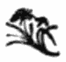 img12.png
