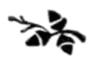 img15.png